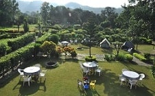 vegetarian restaurant near 
country club wild exotica